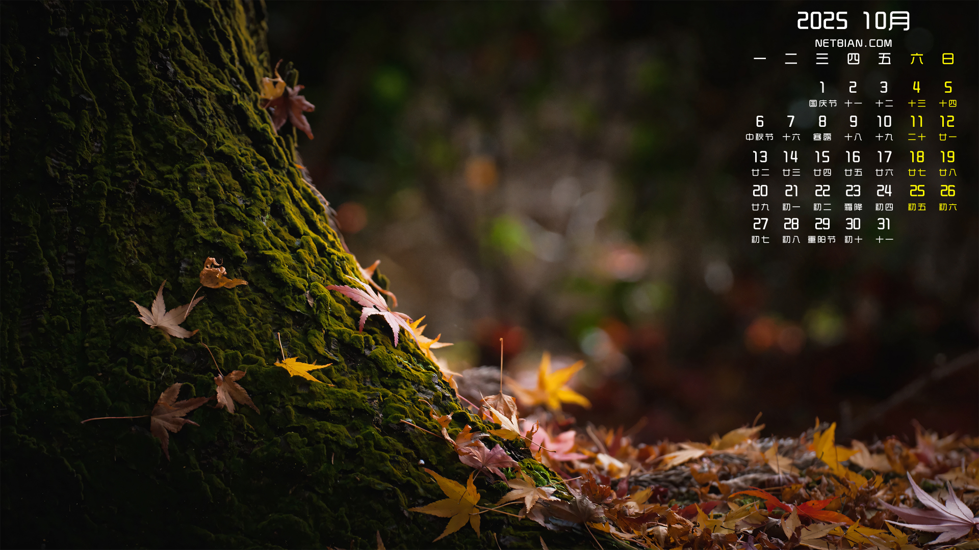 40.大数据平台和HiveSQL